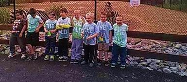 Taking a walk on The Wild (side)