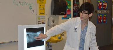 Homer students explore dozens of careers